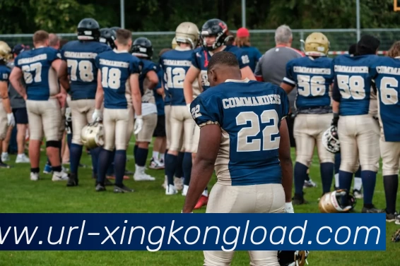 多媒体互动体验